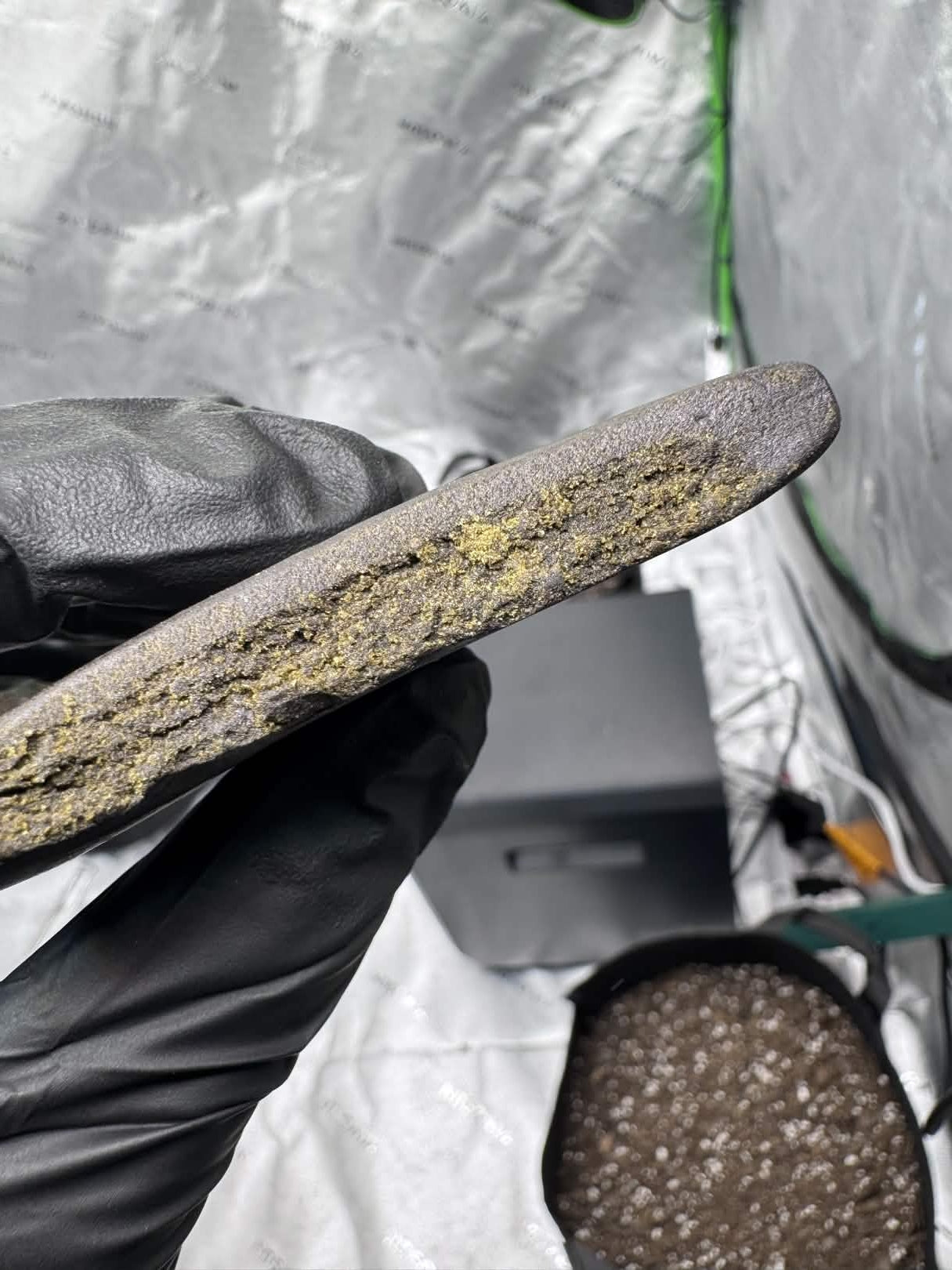 Premium Hash